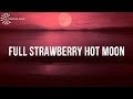 🔴  STRAWBERRY FULL MOON MEDITATION  ❯ JUNE 5,  2020  ❯ MEAD MOON