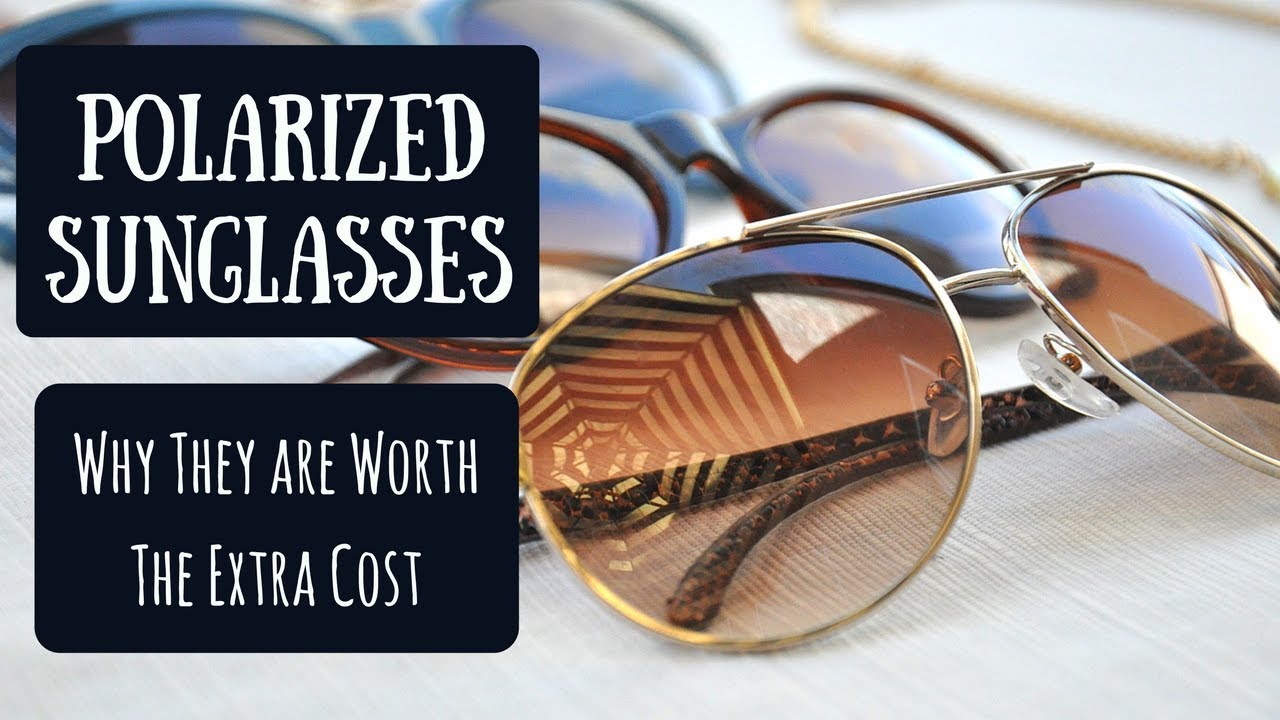 Aggregate more than 191 are polarized sunglasses better
