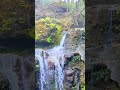 Wonders of Nature #meghalaya #nature #waterfall #meghalayatour #sailors #travel #travelvlog #water