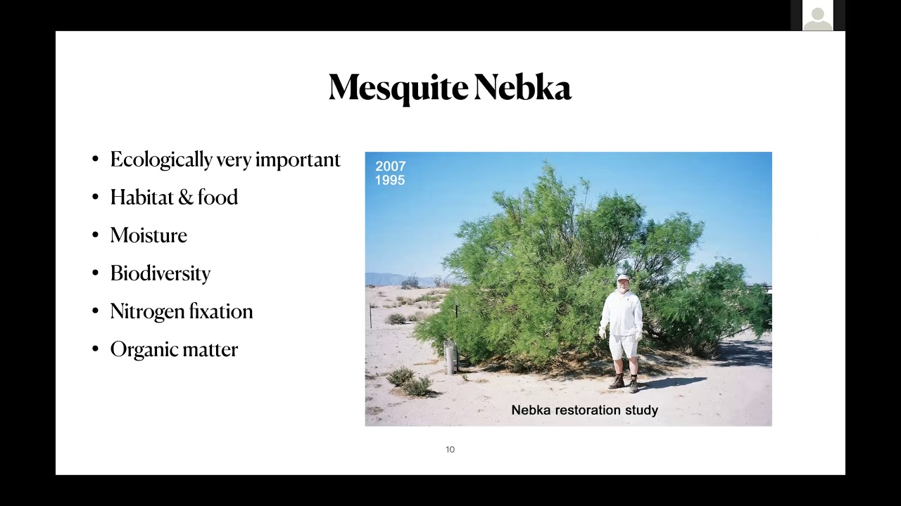 David Bainbridge Presents: Mesquite, a Multipurpose Tree Crop for Agroforestry in the SW