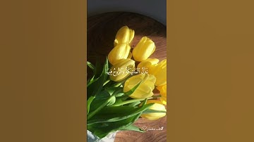 سورة القدر بصوت ياسر الدوسري ♡. #قرآن #quran #ياسر_الدوسري #سورة_القدر