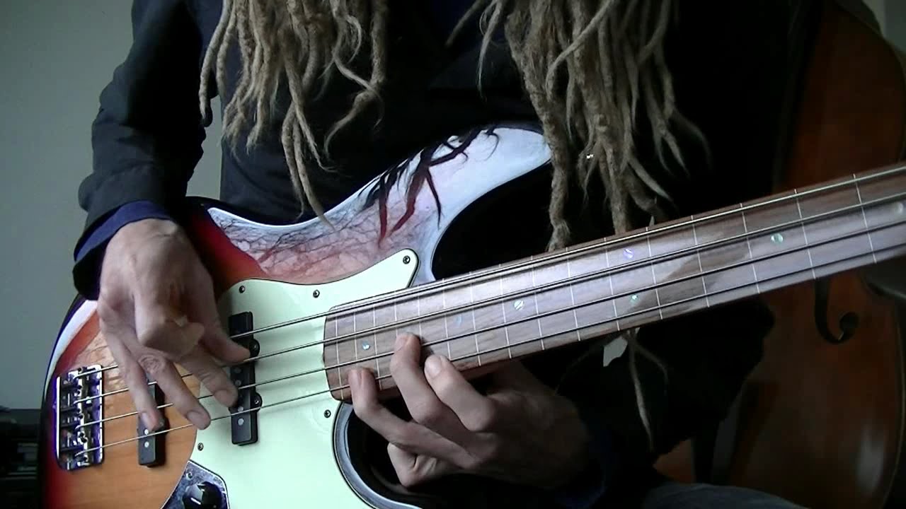 Мы из будущего песня на гитаре. Дабл стоп на бас гитаре. Fretless группа DOMNATION. Song with Bass.