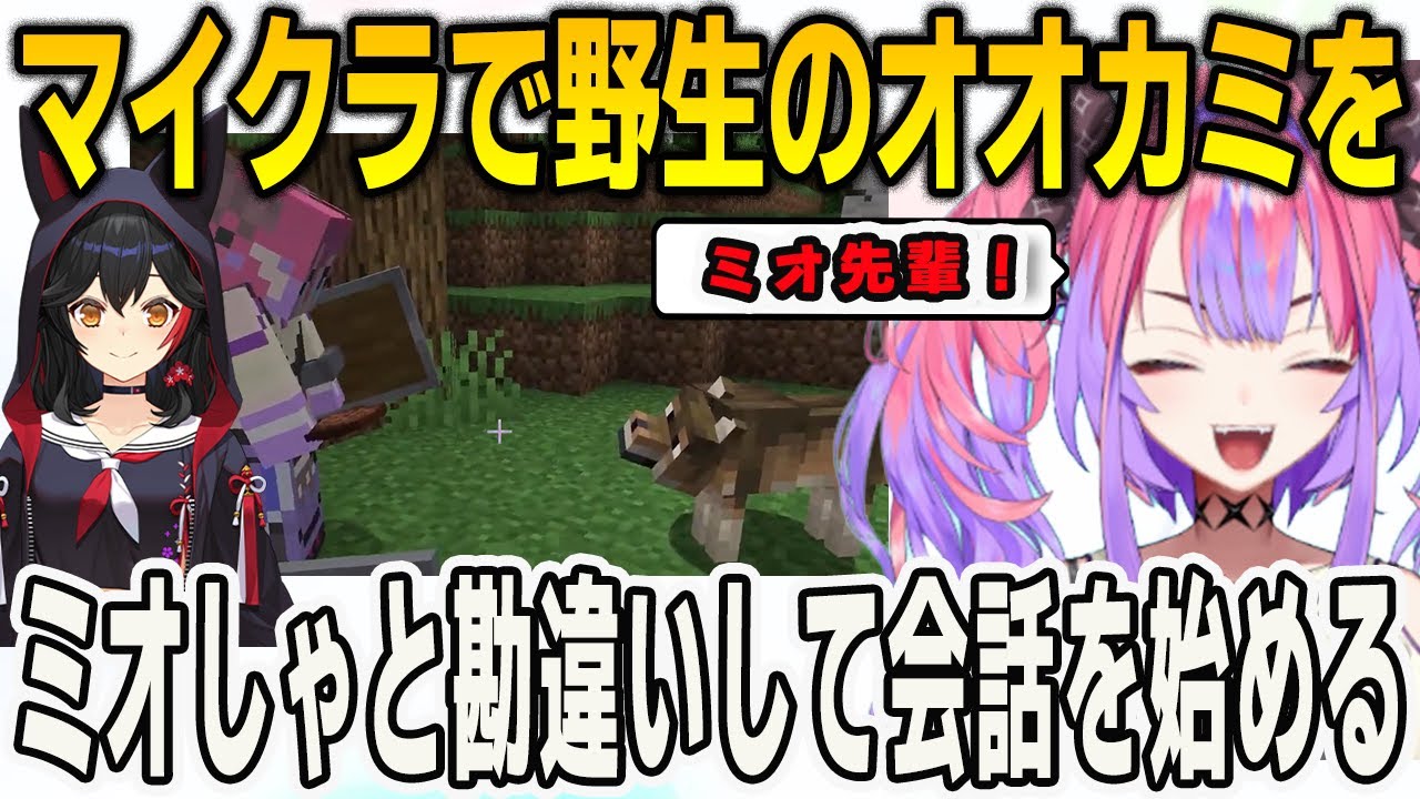 野生のオオカミをミオしゃだと思い込みガチで会話を始めるヴィヴィ【輪堂千速/FLOWGLOW/ホロライブ/マインクラフト/Minecraft /切り抜き】