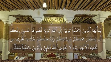 تلاوة نجدية - سورة التحريم - مسجد جعفر الطيار