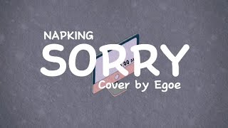 Download Lagu Sorry - Napking (Cover by Egoe) MP3