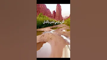 ابتدي باسم رب البيت جل جلاله مجرور Shorts 
