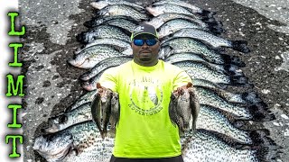 First time ** LIMIT ** of Crappie (Pre Spawn Crappie Fishing) Early March 2024
