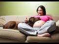 Cutest Dogs Protecting Pregnant Mom 's Belly Compilation 2017 -  Cute Dog protects baby in the womb
