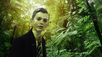 The Lion Sleeps Tonight (In The Jungle, The Mighty Jungle) cover by Josh and Jack