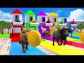 Long Slide Game With Cow Elephant Gorilla Hippopotamus Tiger 3d Animal Game Funny gg 136