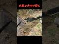 間抜けな小魚達を一網打尽にするつもりだったのに間抜けなデカいの一匹が邪魔…【バス釣り】
