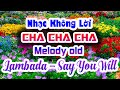 Hòa Tấu Cha Cha Lambada Say You Will Hàng Triệu Trái Tim đã Yêu Bài Bài Hát Này Hòa Tấu Cha Cha Lambada Say You Will Hàng Triệu Trái Tim đã Yêu Bài Bài Hát Này