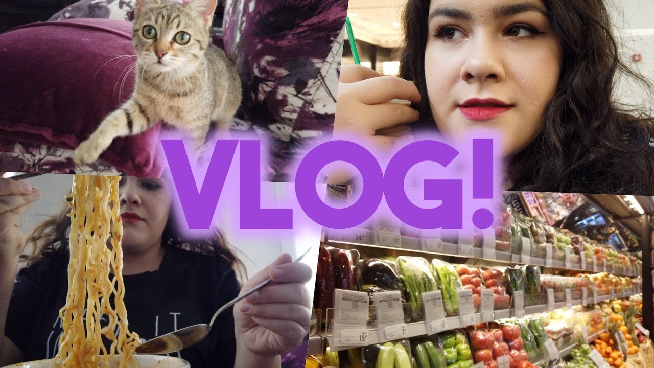VLOG Kedi Annesi Ezgi ile Market Alışverişi, Cilt Bakımı ve Ramen