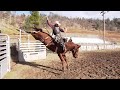 2020 Bronc Riding | Veater Ranch Ep 4