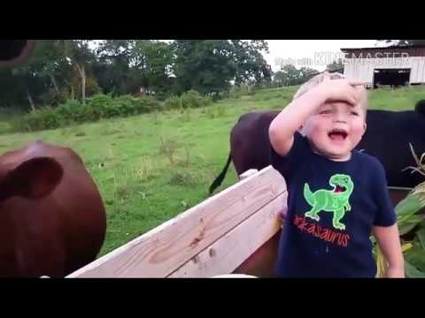 animal-funny-videos-with-baby-2020-|-funny-videos