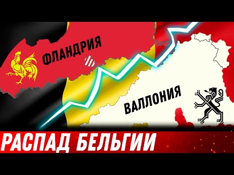 Бейне: Фландрия - үй жануарларының алып қояны