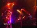 GRAPEVINE ADABANA TOUR @ YOKOHAMA BLITZ(LIVE)