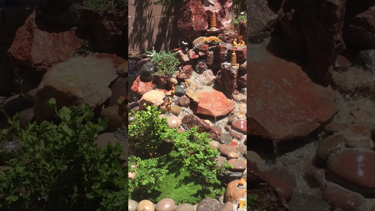 Koi fish pond in Las Vegas YouTube