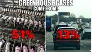 Livestock is Responsible for 51% of Green House Gas Emissions [many languages subtitles]