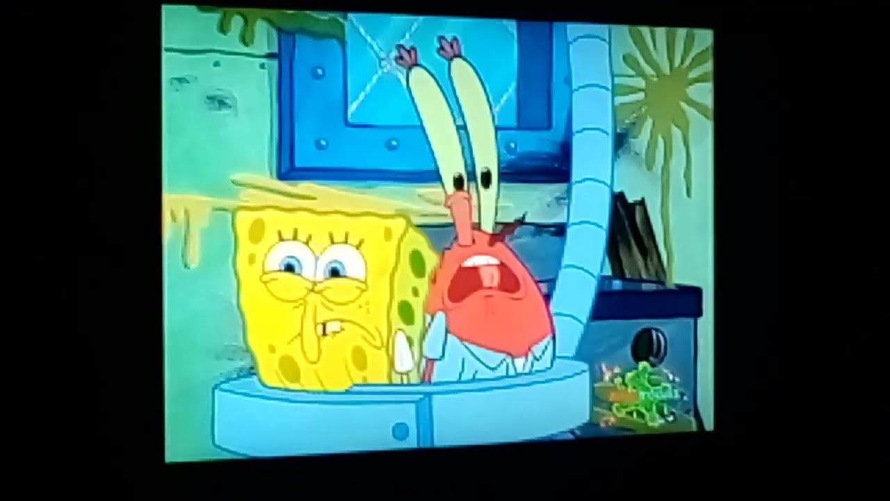 He Just Blew Up The Restaurant Until He Smelled Something Blubber 😯 He Just Blew Up The Restaurant Until He Smelled Something Blubber 😯
