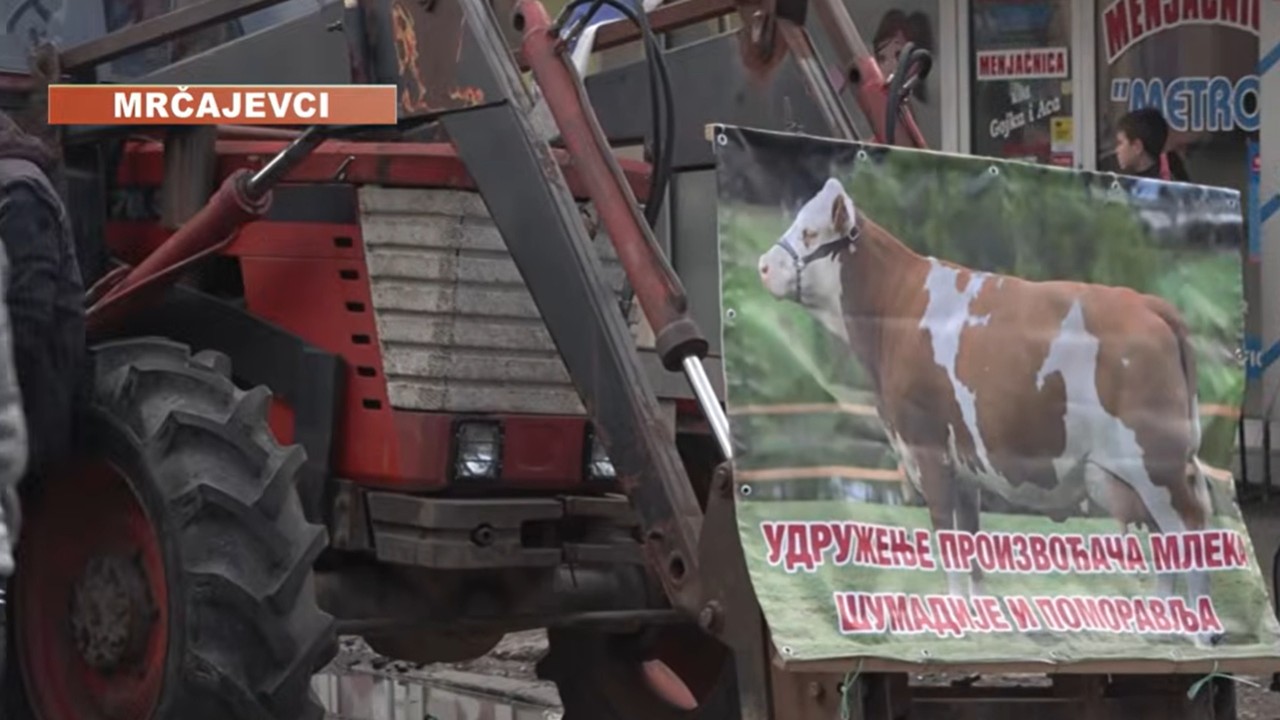 MLEKO JEFTINO, A SKUPO Kako će se mlečna kriza odraziti na kvalitet i cenu mleka koje pijemo?