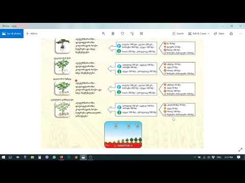 კარტოფილის მავნებელ- დაავადებებთან ბრძოლის და გამოკვების სქემა 100 ლ . წყალზე