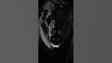 Stop Making Excuses — Start Making Progress #motivation