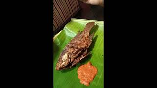 Tamil foods_review_biryani_fish fry_