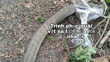 tập:53 hành trình thăm lưới rắn hạ gục quái vật đã sa lưới