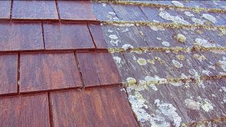 HOW TO: Wash a Cedar Roof with Cedar Wash by WashSafe by Outside Cleaners 3,493 views 8 months ago 3 minutes, 42 seconds