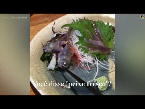 Peixe servido em restaurante japonês morde hashi e vídeo viraliza