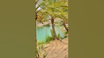 #تلاوة_خاشعة #اكسبلور #قران_كريم #سورة_لقمان