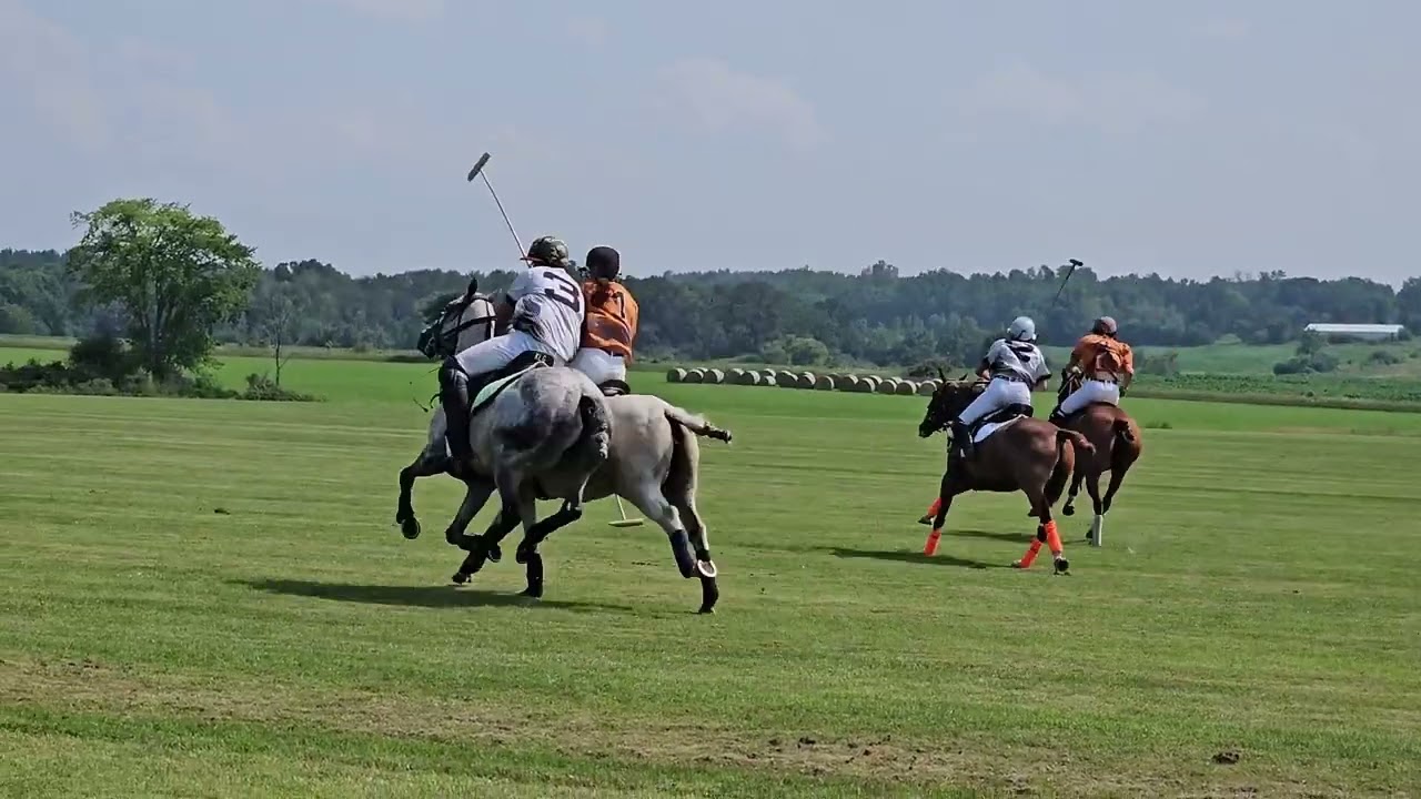Salty Mare vs  Espana SILK - 2024 NYTS Qualifier - Ameritina Polo Farm