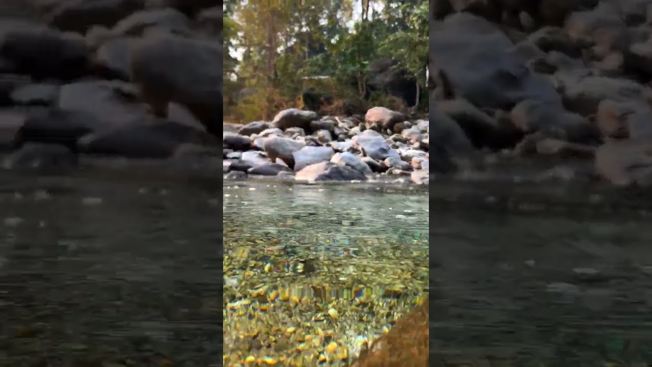 Shibkhola beautiful off-beat destination | 55 km from Siliguri 