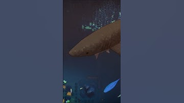Adding a Greenland Shark to My Coral Reef City Builder #gamedev #blender #substancepainter #godot
