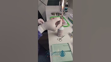 Custom gutta percha cone.