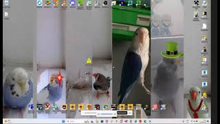 CREATE MEMZ WITHOUT CODING! #viralvideo #viralshorts2026 #skid #skidder
