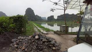 Walking Through a Lotus Pond in Ninh Binh 🇻🇳