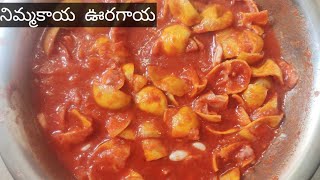 నిమ్మకాయ  ఊరగాయ  చేయు  విధానం !Making of leman pickle