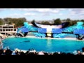 Sea world san diego shamu show miniature effects