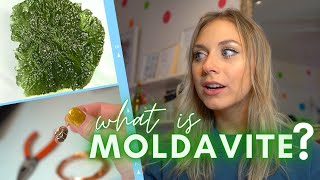 TikTok made me buy it: A Life Changing Moldavite Crystal Necklace?