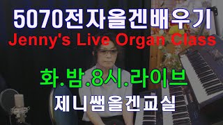 #5070전자올겐배우기 #트로트/뽕짝 #제니쌤올겐교실 #나도 전자올겐 잘 칠수 있다/ #울어라열풍아 배우기