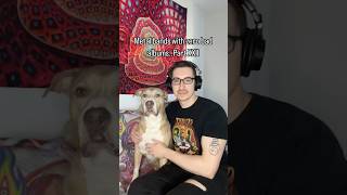 Metal bands with no bad albums