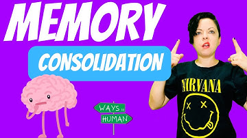 Memory Consolidation: How The Brain Creates Memories | Brain Science |