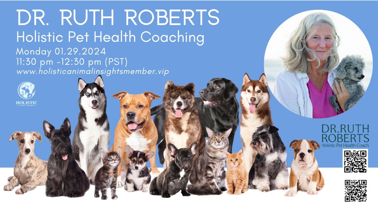 Dr Ruth Roberts - Holistic Pet Health Coaching Certification - YouTube