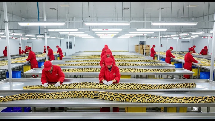 Inside the PYTHON SKIN Factory: How GIANT Snakes Become $10,000 Handbags | BILLION DOLLAR INDUSTRY