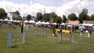 DIVOT STD 2 20130609