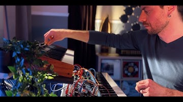 "Abyssal Sway" Moog Matriarch, DFAM,  Microfreak, Microcosm, DSI MophoX4,