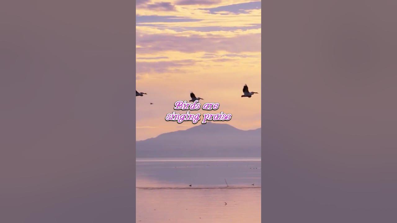 Forrest Frank - Good day (lyrics) #lyrics #song