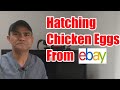 HATCHING EGGS,I BOUGHT FROM EBAY|WILL ANY OF THEM HATCH?MAY MAPISA PA KAYA?@ChickenTour